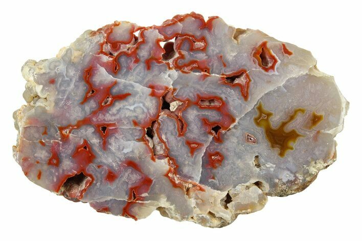 Polished Agate Section - Morocco #250900